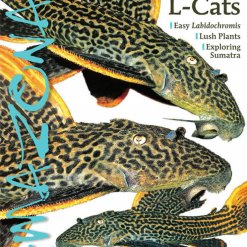 Amazonas Blad 1.1 - Breeding L-Cats