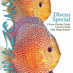 Amazonas Blad 1.6 - Discus Special
