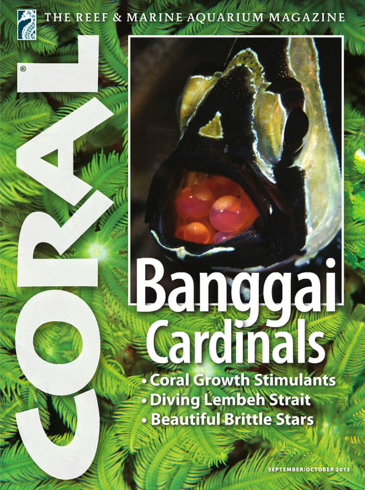 VOL10-NO5-BANGGAI-CARDINALS