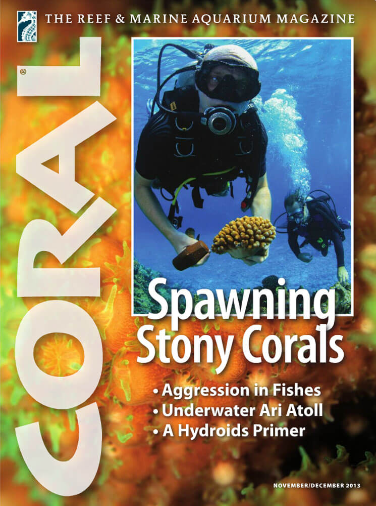 VOL10-NO6-SPAWNING-STONY-CORALS