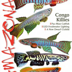 Amazonas Blad 2.3 - Congo Killies