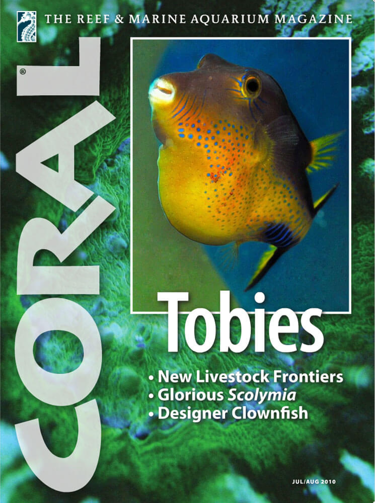 VOL7-NO4-TOBIES