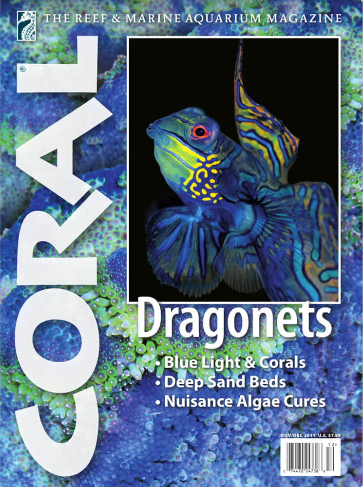 VOL8-NO6-DRAGONETS