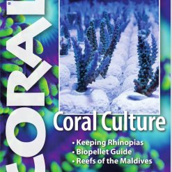 Coral Magazine