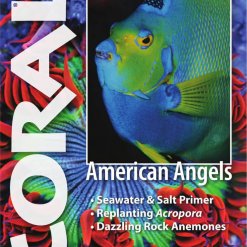 Coral Blad 9.5 - American Angels