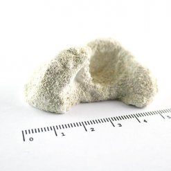 Achilles Frag Rocks