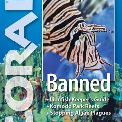 Coral Blad 11.4 - Banned