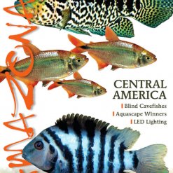 Amazonas Blad 3.2 - Central America