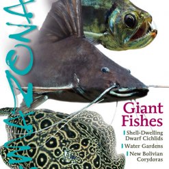 Amazonas Blad 3.4 - Giant Fishes