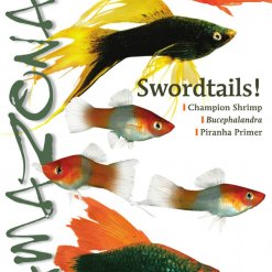 Amazonas Blad 3.5 - Swordtails