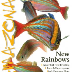 Amazonas Blad 3.6 - New Rainbows