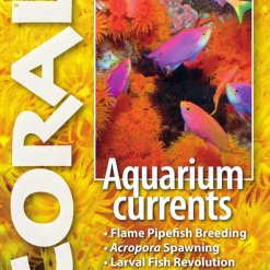Coral Blad 11.2 - Aquarium Currents