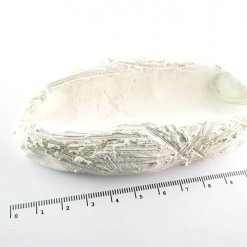 Achilles Clam Holder