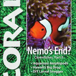 Coral Blad 11.6 - Nemo's End