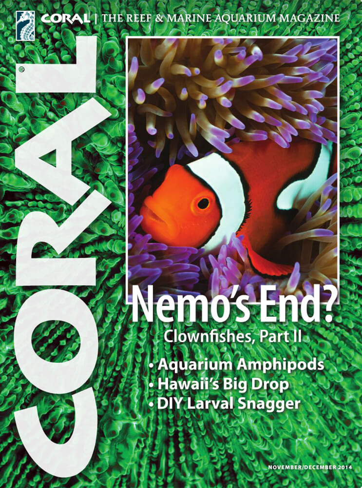 Coral-Vol11-No6-Nemos-End