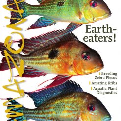 Amazonas Blad 4.2 - Eartheaters