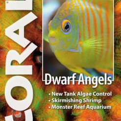 Coral Blad 12.2 - Dwarf Angels