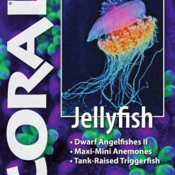Coral Blad 12.3 - Jellyfish