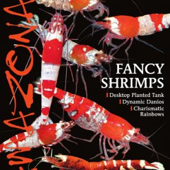 Amazonas Blad 4.4 - Fancy Shrimps