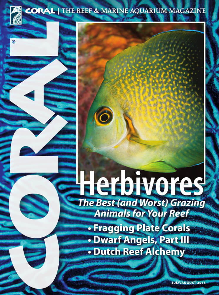 Coral-Vol12-No4-Herbivores